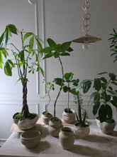 Load image into Gallery viewer, Create + Connect Workshop Series: Plant + Pottery Vessel