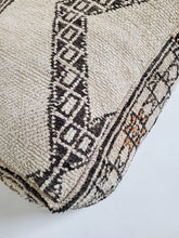 Load image into Gallery viewer, XL Dog Bed