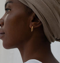 Load image into Gallery viewer, Zinga Hoops