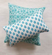 Load image into Gallery viewer, Paisley