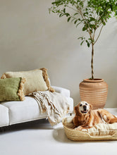Load image into Gallery viewer, Woven Pet Bed Cushion
