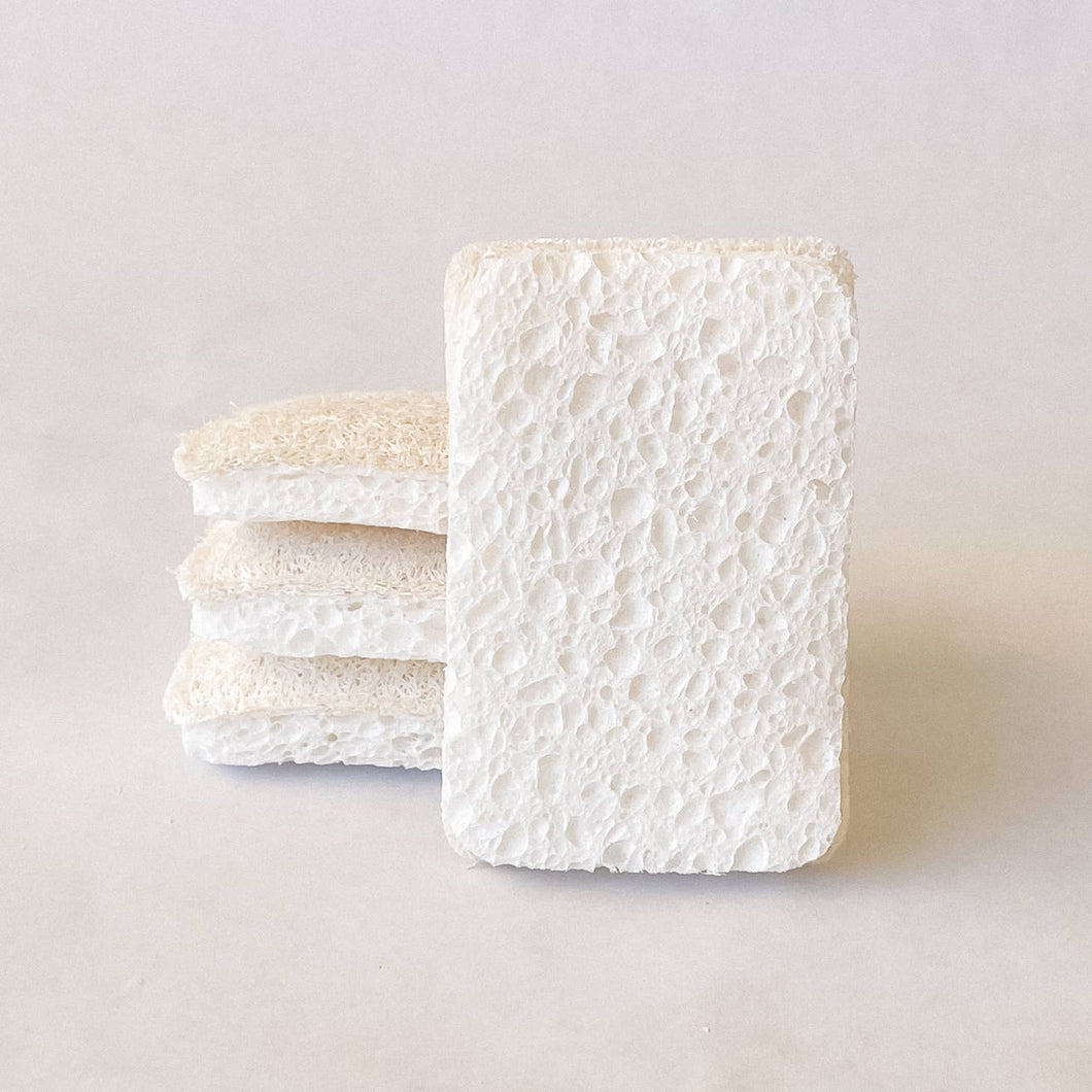 Eco-Friendly Kitchen Sponge