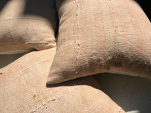 Load image into Gallery viewer, Blush Dogon Pillow
