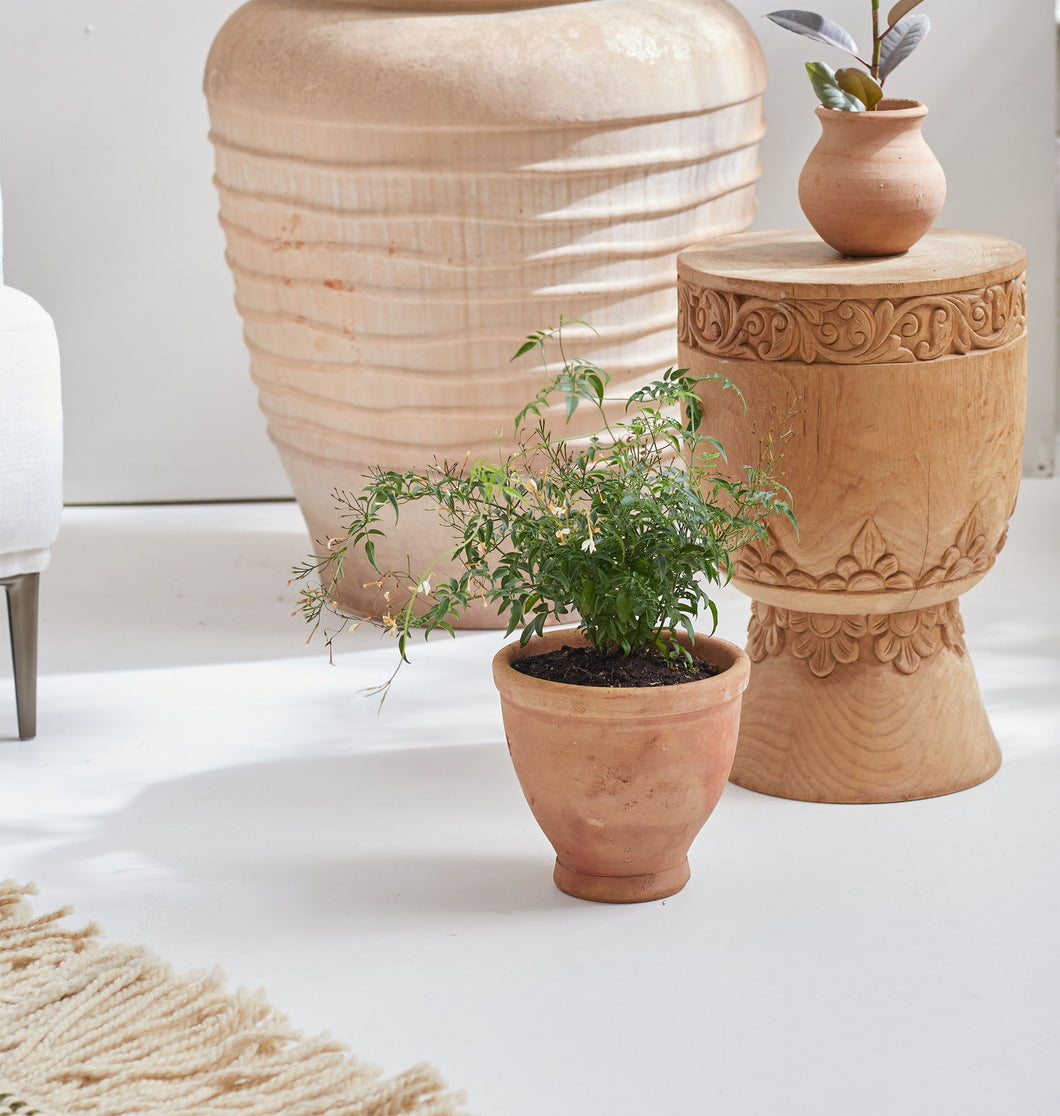 Fleur Terracotta Pot