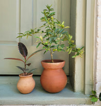 Load image into Gallery viewer, Sol Terracotta Pot
