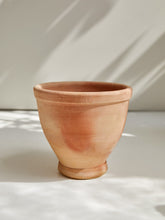 Load image into Gallery viewer, Fleur Terracotta Pot
